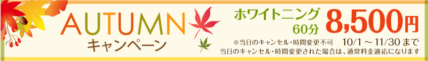 ホワイトニングキャンペーン