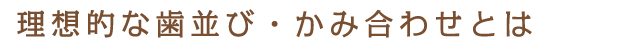 理想的な歯並び・かみ合わせとは